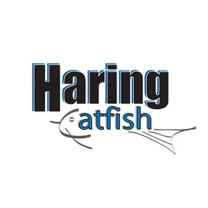 Haring Catfish