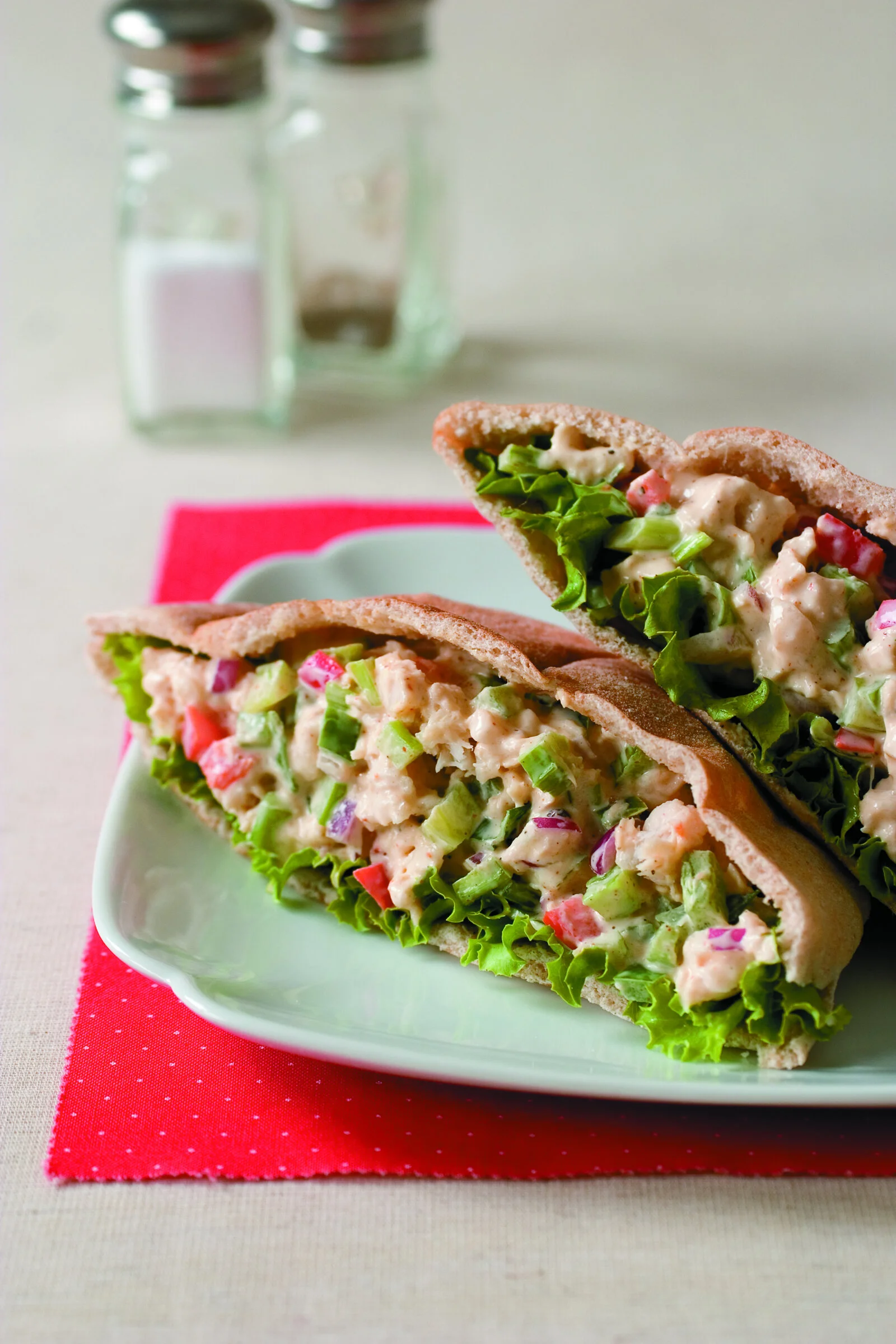 Catfish Salad in Pita – TCI