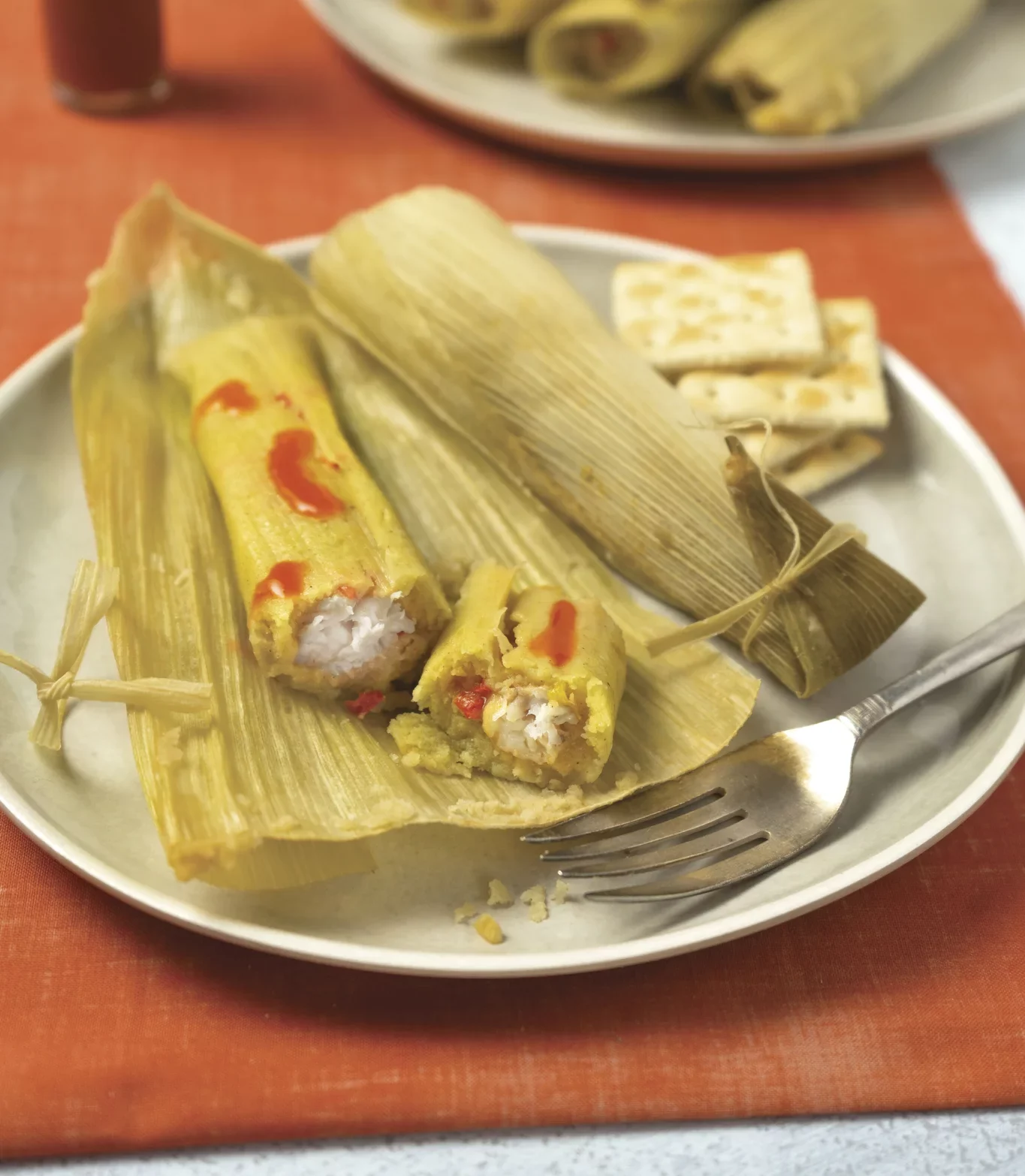 Catfish Tamales – TCI